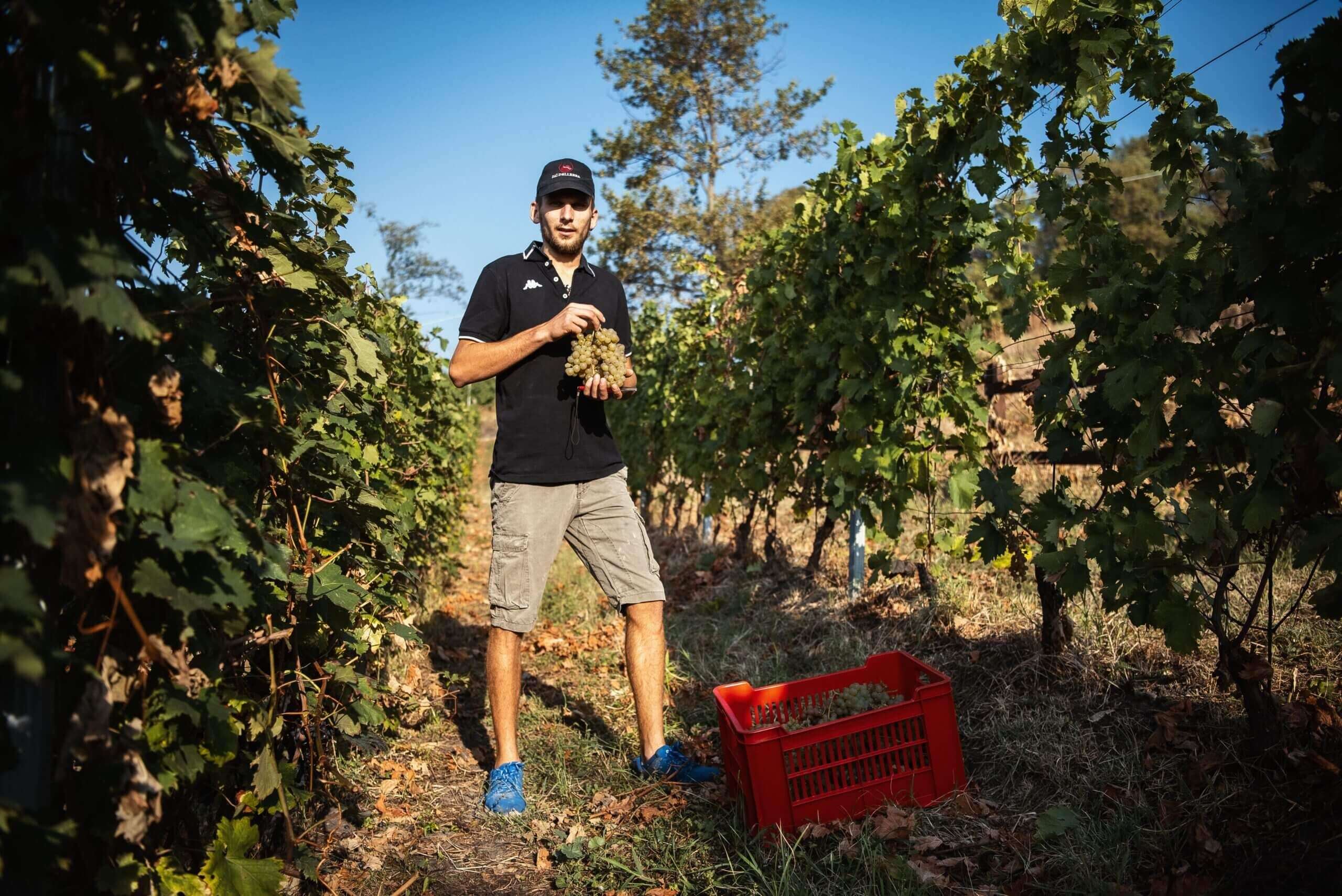 La Cantina Dellerba di Pinerolo premiata al Mondial des vins extrêmes