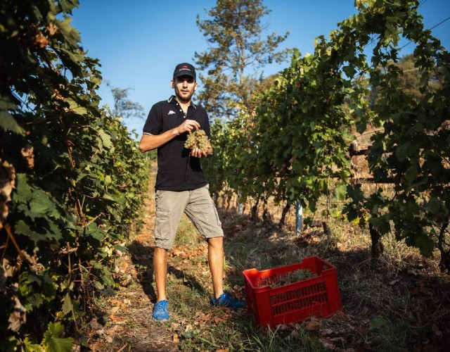 La Cantina Dellerba di Pinerolo premiata al Mondial des vins extrêmes