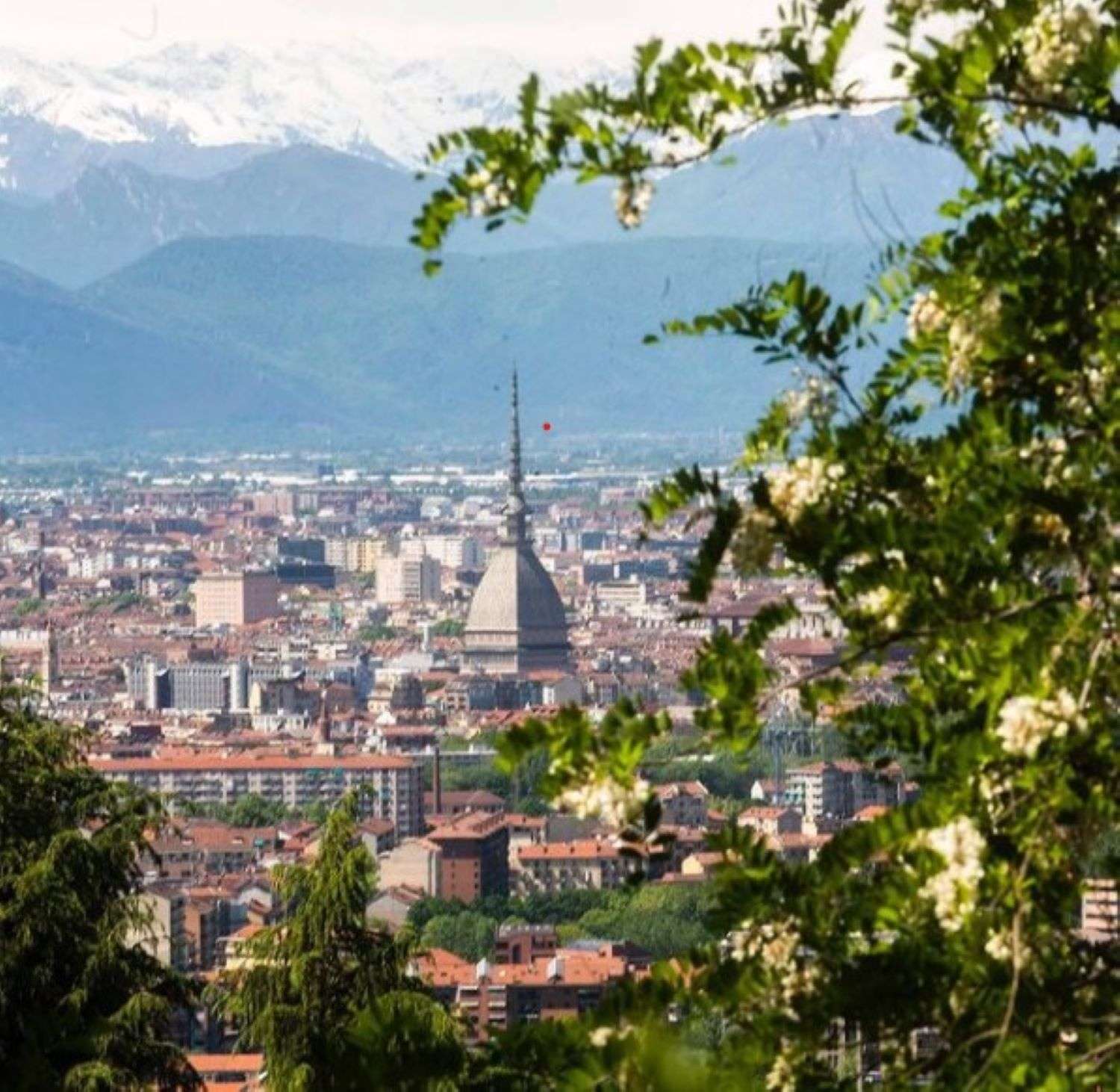 E' il 21 marzo, finalmente è iniziata la primavera, anche se fa freddo...