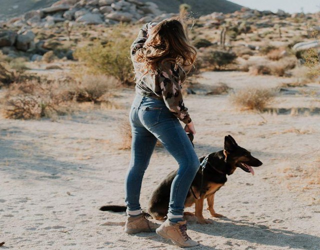 Torino, multata una ragazza che portava a spasso il cane senza documenti