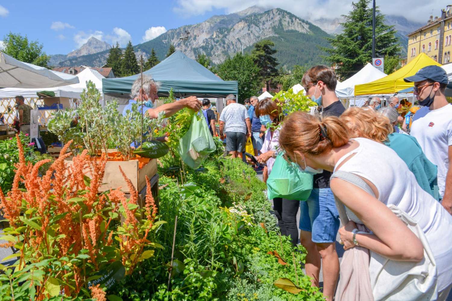 Flor ritorna a Bardonecchia: l'appuntamento è domenica 11 luglio