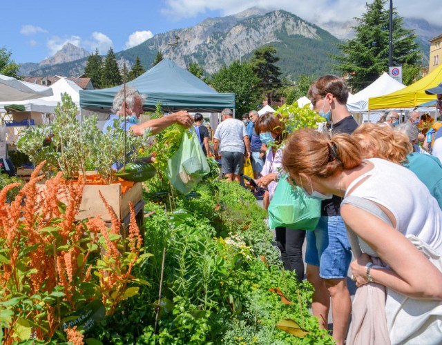 Flor ritorna a Bardonecchia: l'appuntamento è domenica 11 luglio