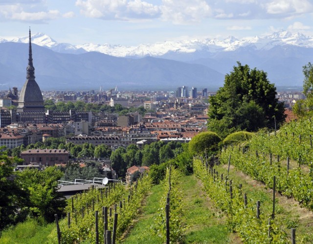 Dopo i libri andati a ruba al Salone adesso per Torino è tempo di degustazioni con il frutto di Bacco