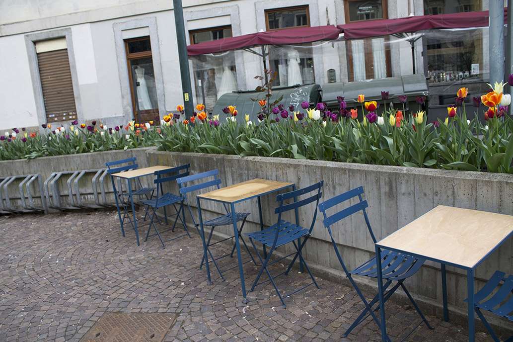 In piazza Emanuele Filiberto giovedì si piantano i bulbi di tulipani