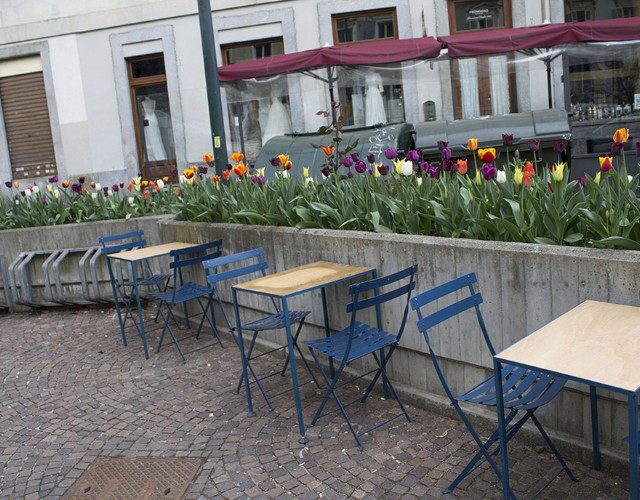 In piazza Emanuele Filiberto giovedì si piantano i bulbi di tulipani