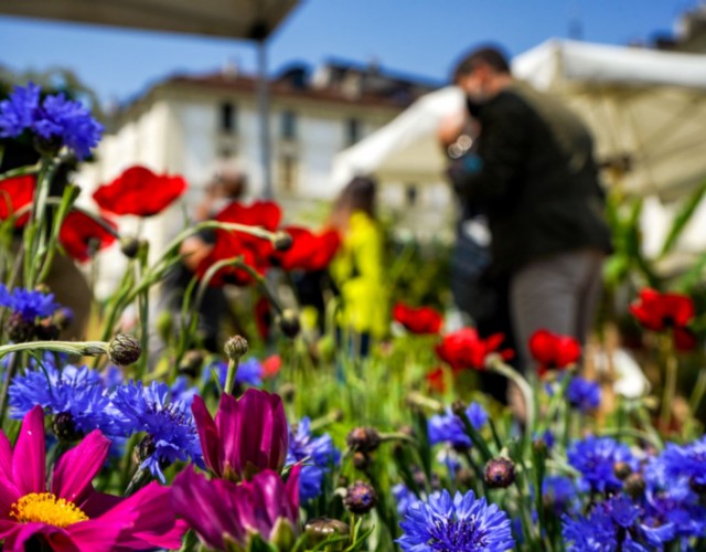 In piazza Vittorio, nel cuore di Torino, torna l’appuntamento con AgriFlor