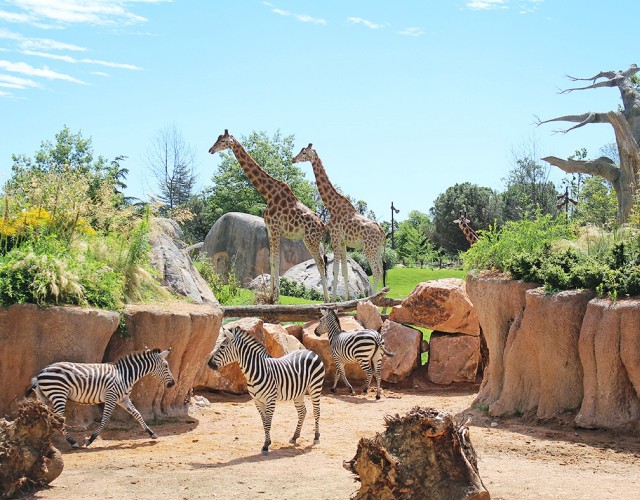 Il bioparco Zoom si tinge di verde, torna anche quest’anno il Green Festival