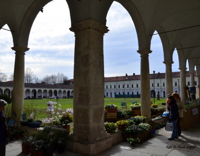 E’ primavera, al Chiostro della Certosa Reale di Collegno torna Follia in Fiore