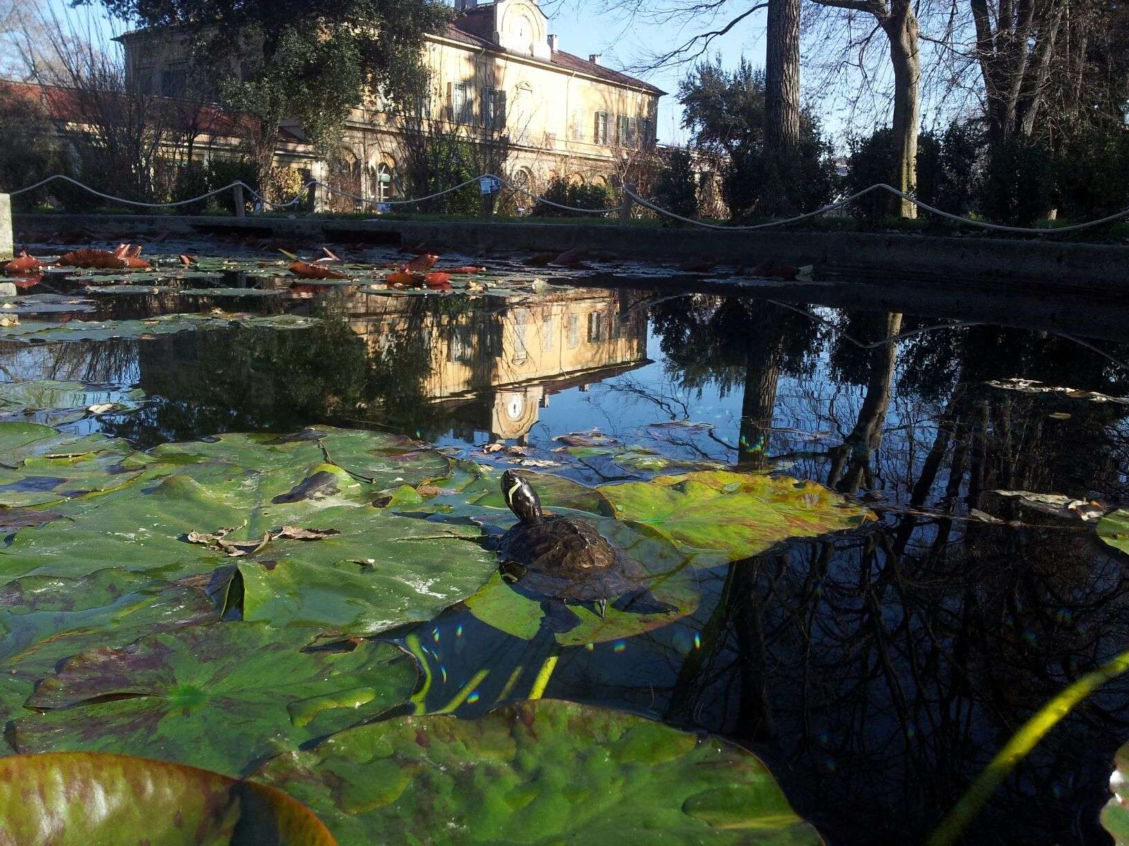 Il weekend di Ferragosto da passare all'Orto Botanico di Torino