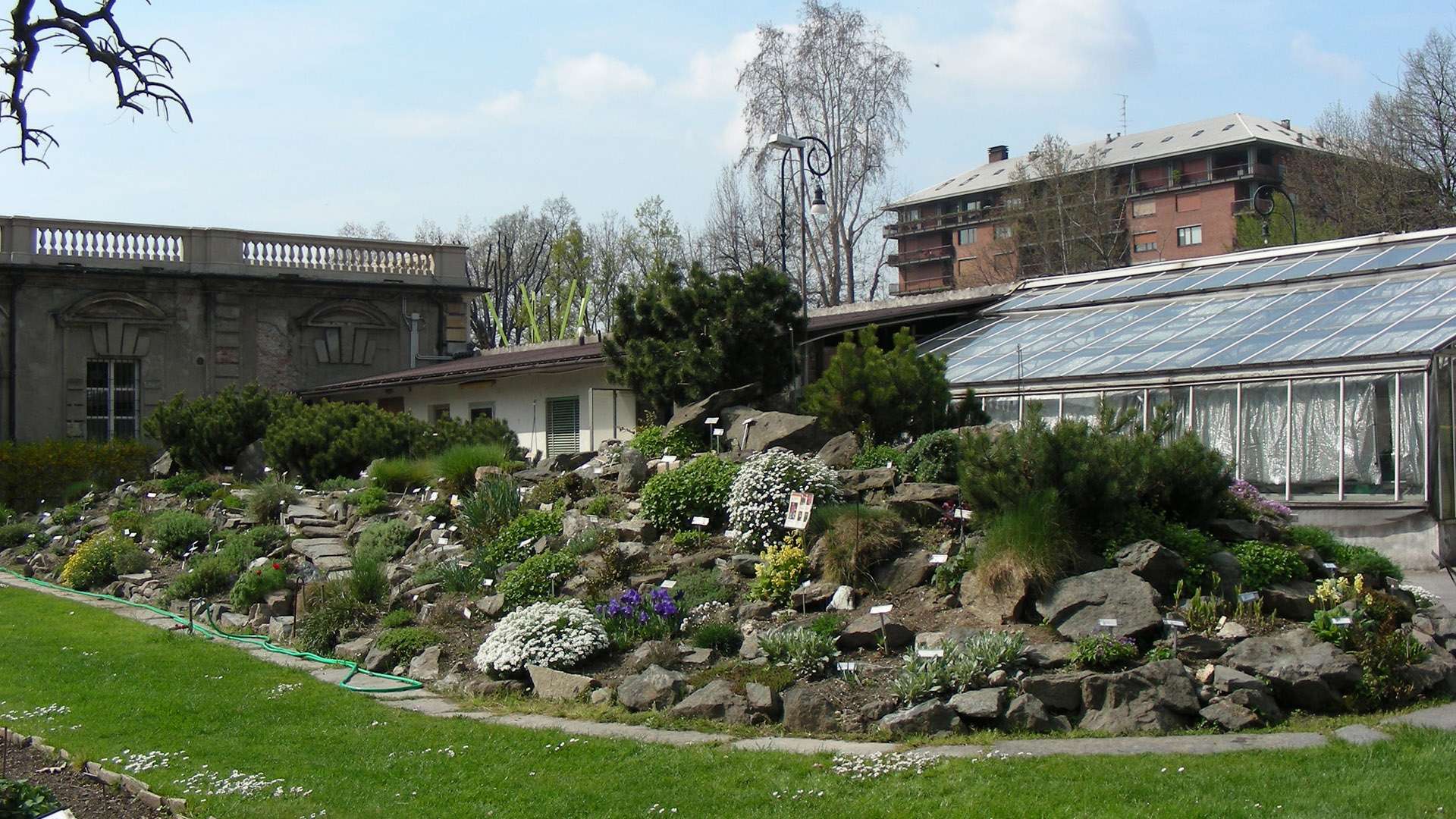 Una mostra imperdibile negli spazi dell'Orto Botanico di Torino