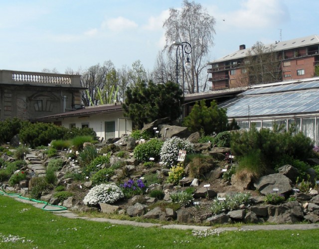 Una mostra imperdibile negli spazi dell'Orto Botanico di Torino