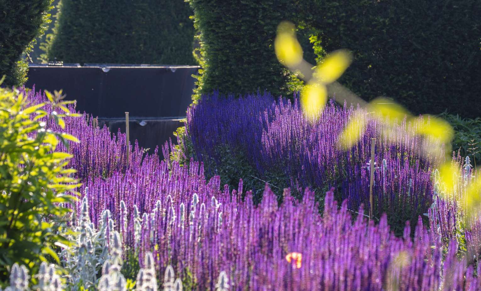 #lavenariagreen inaugura la primavera con una vasta programmazione per un anno dedicato alla natura