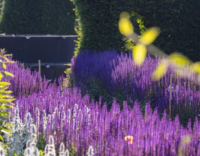 #lavenariagreen inaugura la primavera con una vasta programmazione per un anno dedicato alla natura